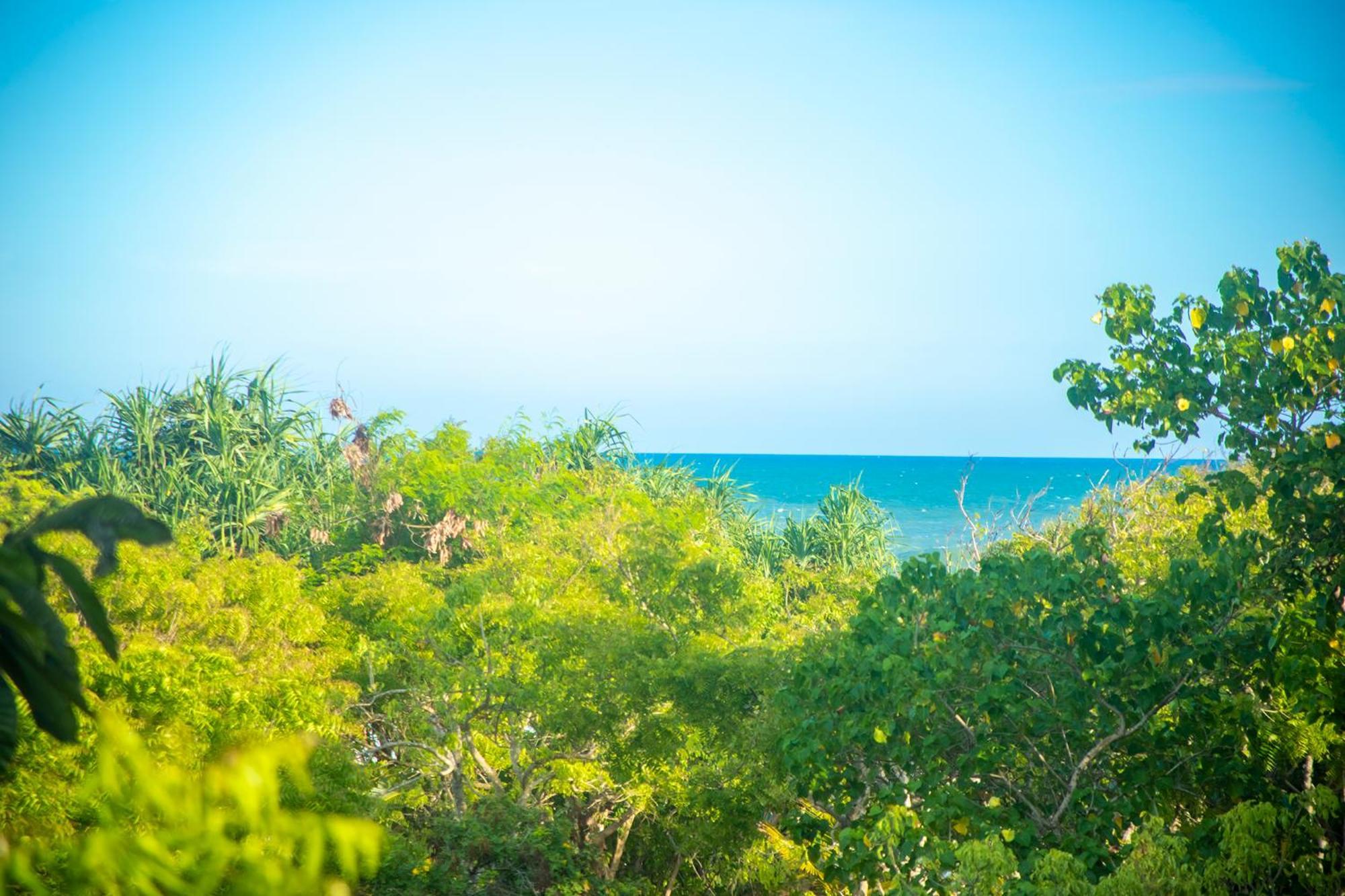 Nikara Luxury Beach House 蒂瑟默哈拉默 外观 照片