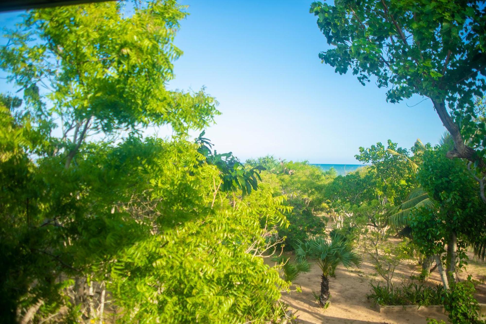 Nikara Luxury Beach House 蒂瑟默哈拉默 外观 照片
